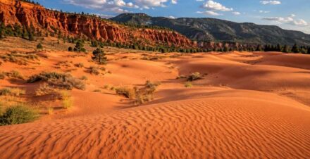 Coral Pink Sand Dunes Utah: A Desert of Rose-Colored Sand Near Zion