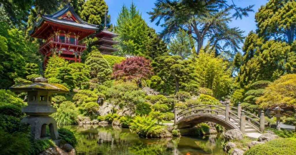 Japanese Tea Garden Golden Gate Park: The Complete Visitor Guide