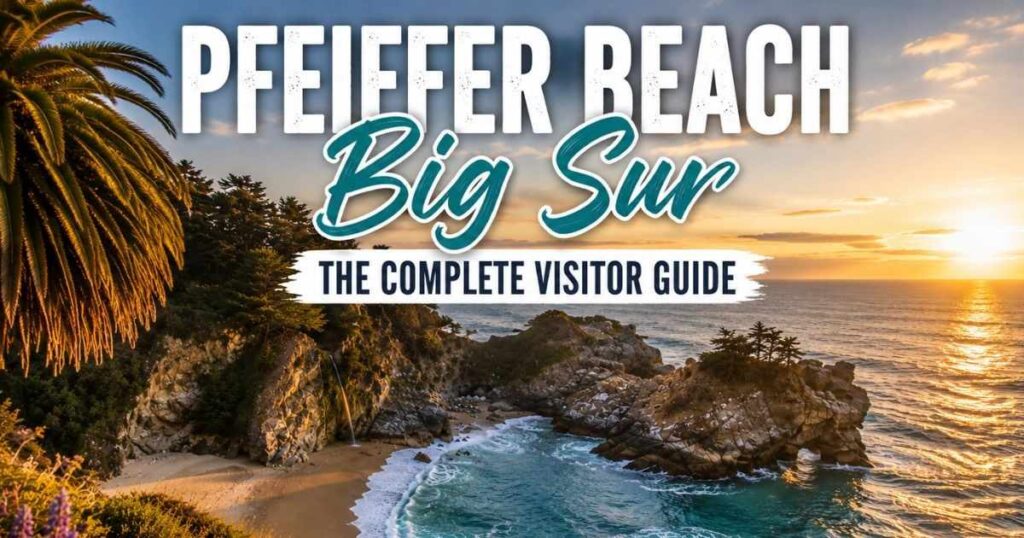 Pfeiffer Beach Big Sur: The Complete Visitor Guide