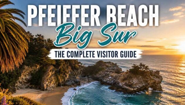 Pfeiffer Beach Big Sur: The Complete Visitor Guide